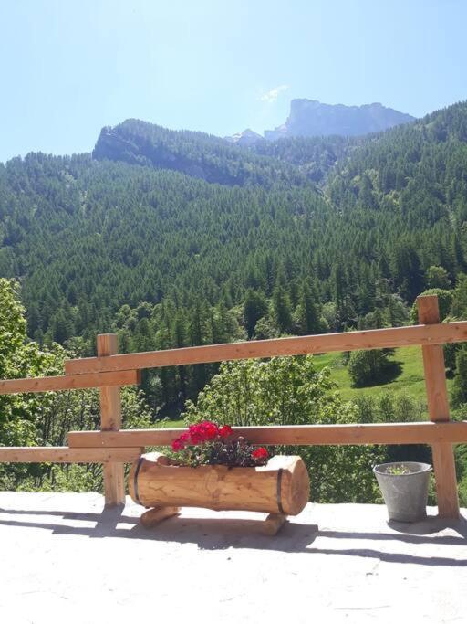 L'Estela Meleze Esterno foto